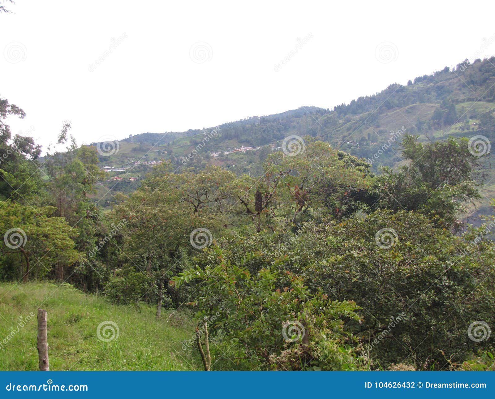 en la cordillera oriental de colombia