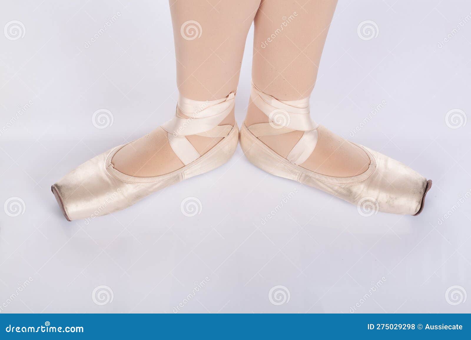 En Pointe Correggere La Prima Posizione Aperta Dal Punto Di Vista Dei Ballerini Fotografia Stock Immagine di ragazza esecutore 275029298