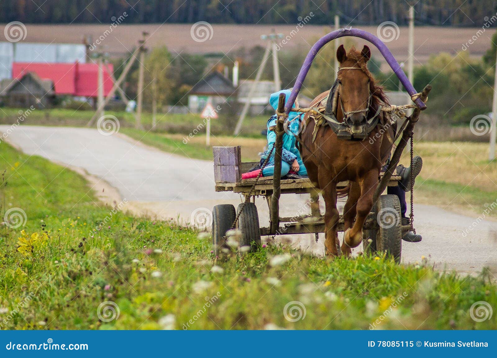 Задания в телеги. Телега в деревне. Лошадь с телегой в деревне. Лошадь с тележкой в деревне. Девушки на телеге в деревне.