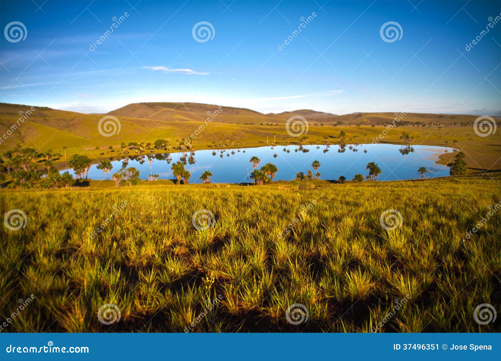 Encantada Laguna. Это одно из самых былинных мест в Gran Sabana. Прежде всего, одна из части бога штрафов искусств в парке. Высокорослые & тощие деревья и короткая трава сделали ландшафтом почти arquitechtonic модель. Secondly, античный рассказ о секретном тоннеле который держит лагуну влажной даже самое трудное и самое горячее лето устанавливает и всех других реках сухих вне. Furthermore люди зоны говорят сквозную в реальном маштабе времени античного василиска этот тоннель и лагуна есть людей которые пробуют сжать место.