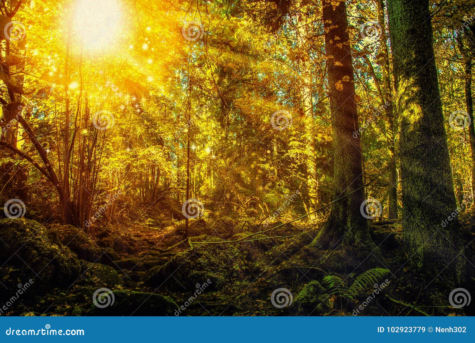 enchanted forest with mossy rocks and sparkling lights.