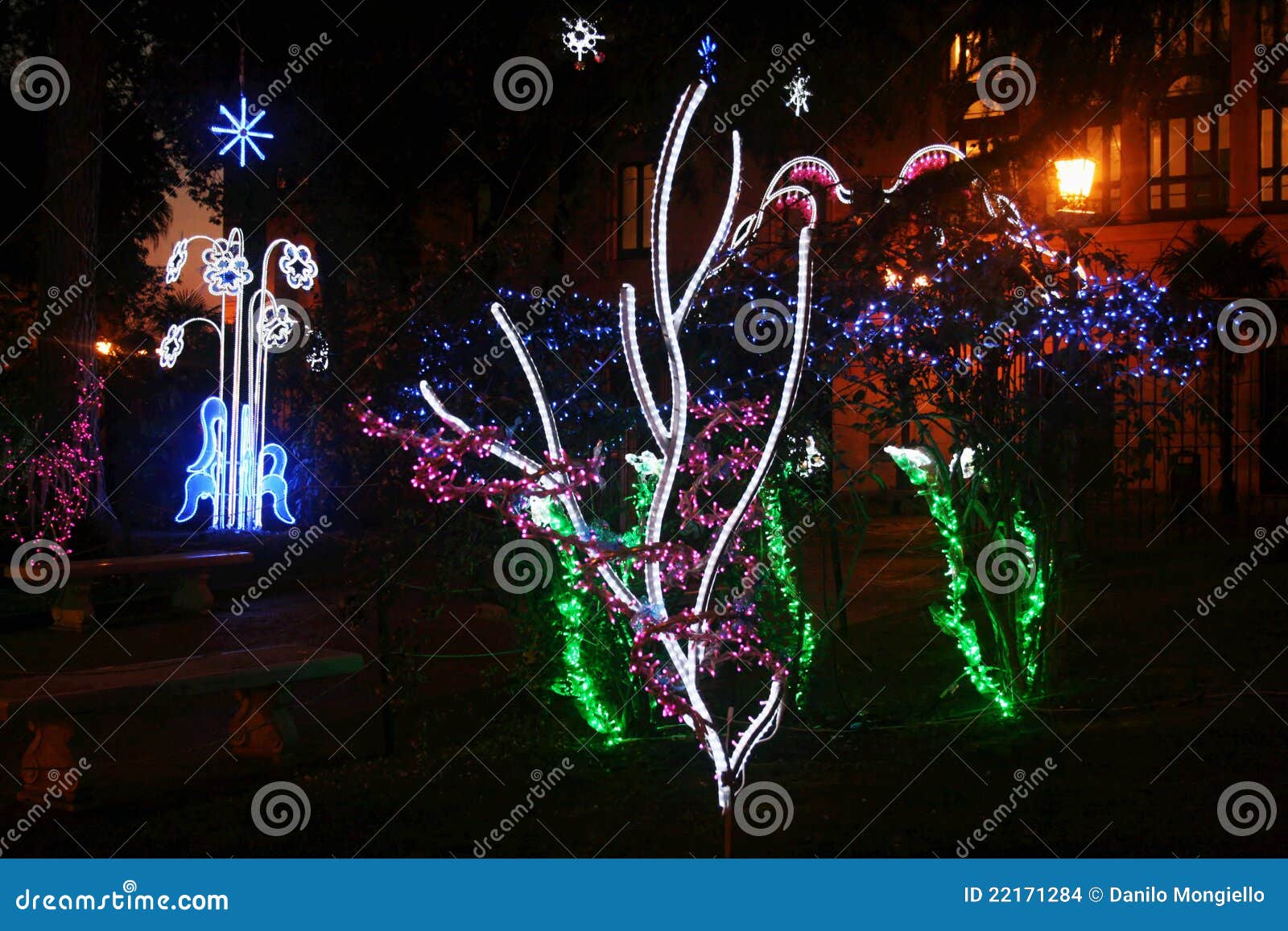 Enchanted Garden Stock Photo Image Of Lights Holiday 22171284