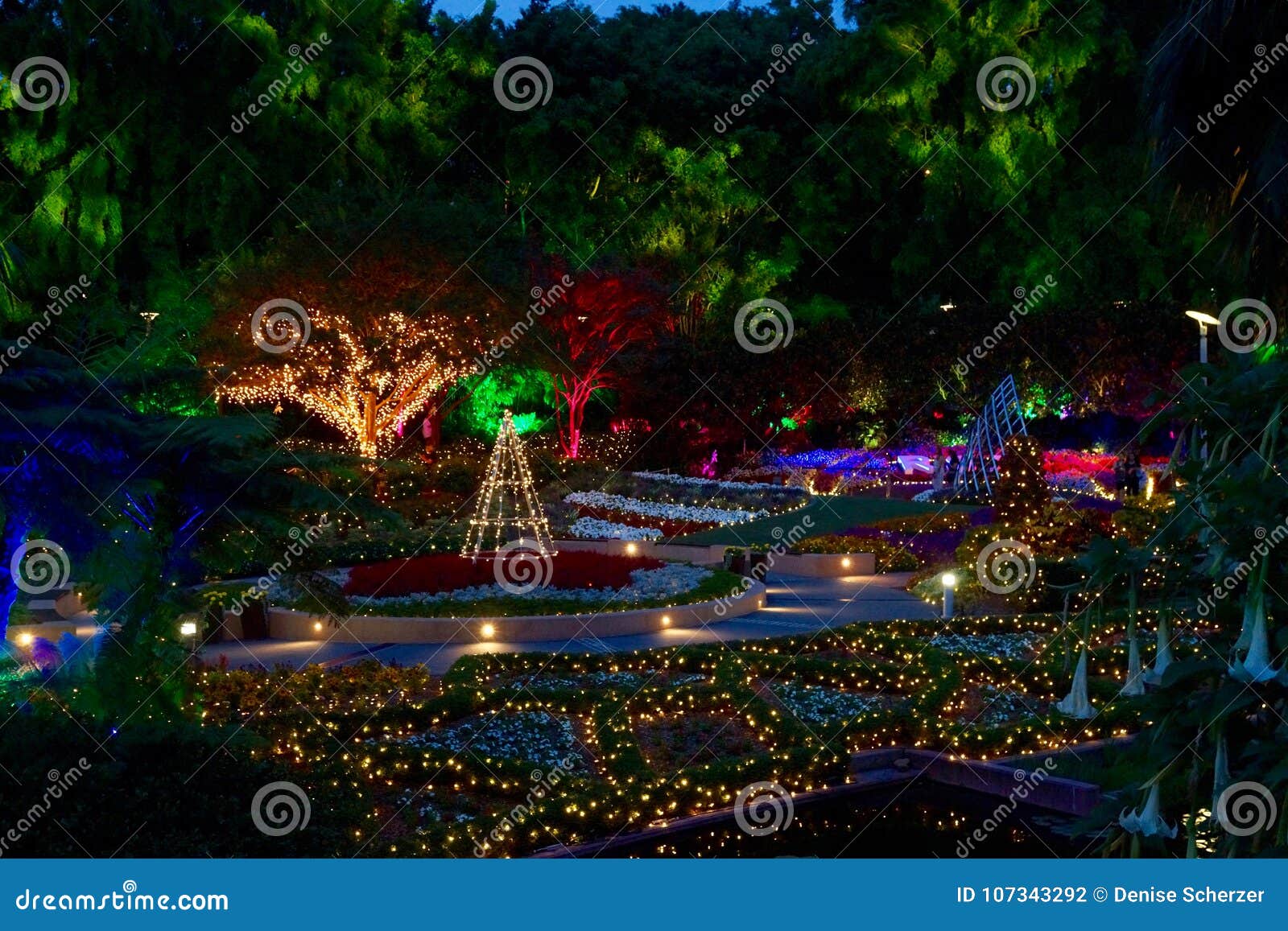 Enchanted Garden Fairy Lights By Night Stock Photo Image Of