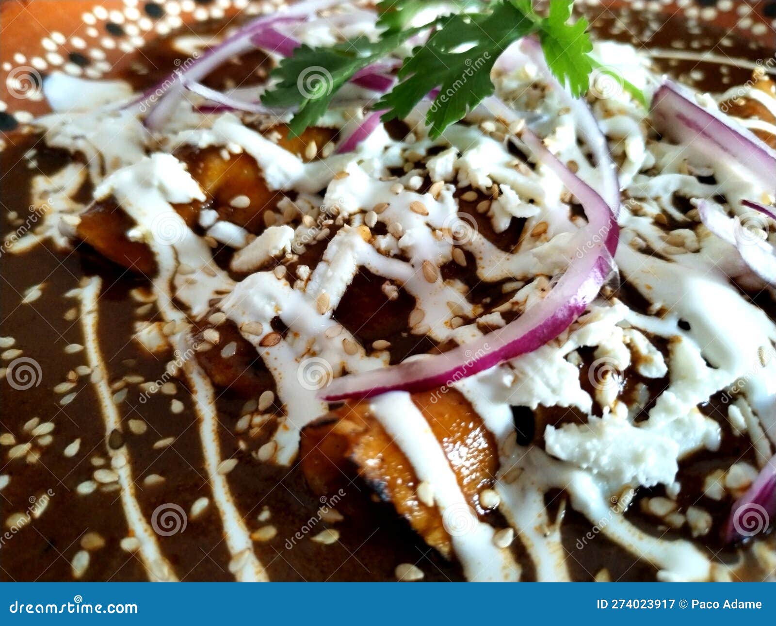 Enchiladas De Mole Poblano with Shredded Chicken Stock Image Image of