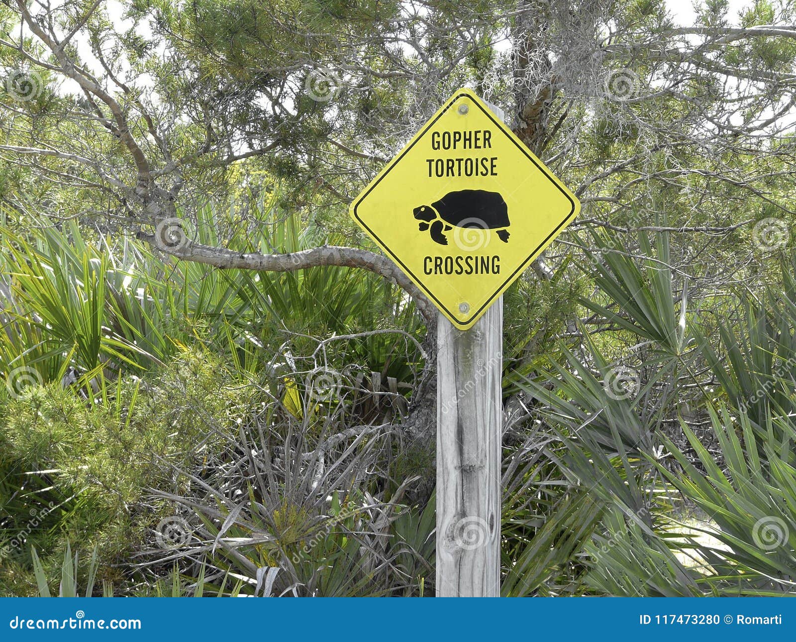 endangered threatened gopher tortoise crossing sign