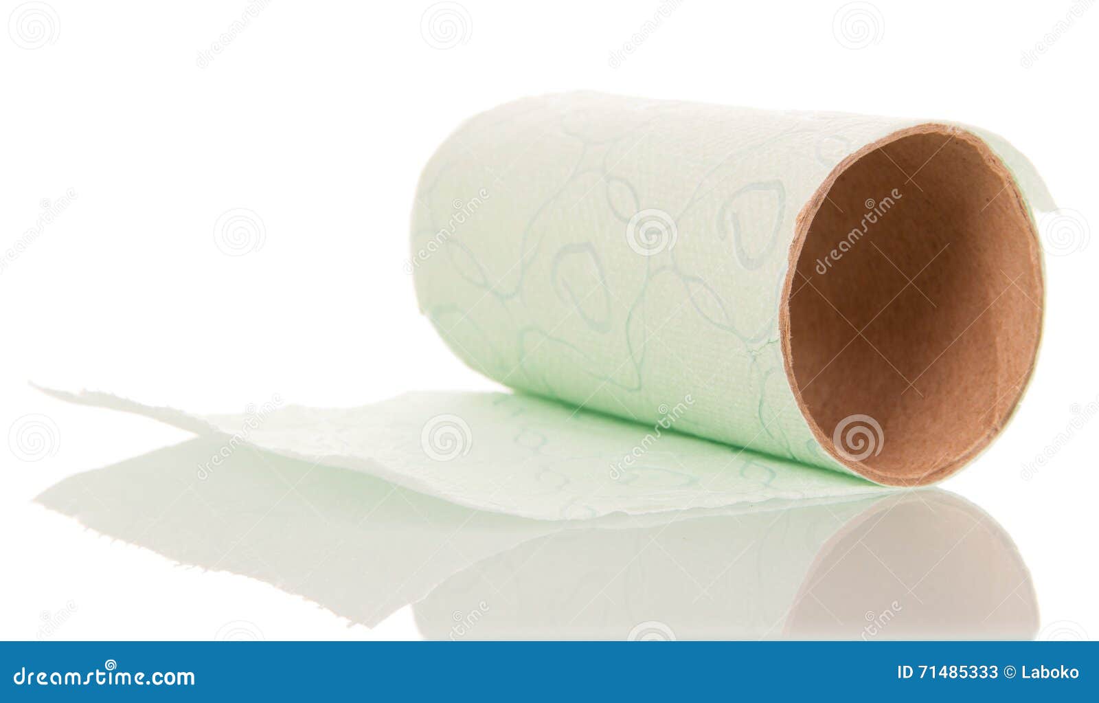 Ending Toilet Paper Roll Isolated on White . Stock Image Image of