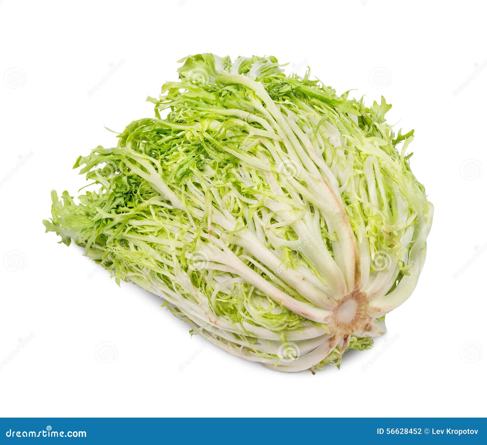 Endive De Bebe Photo Stock Image Du Antioxydant Verts