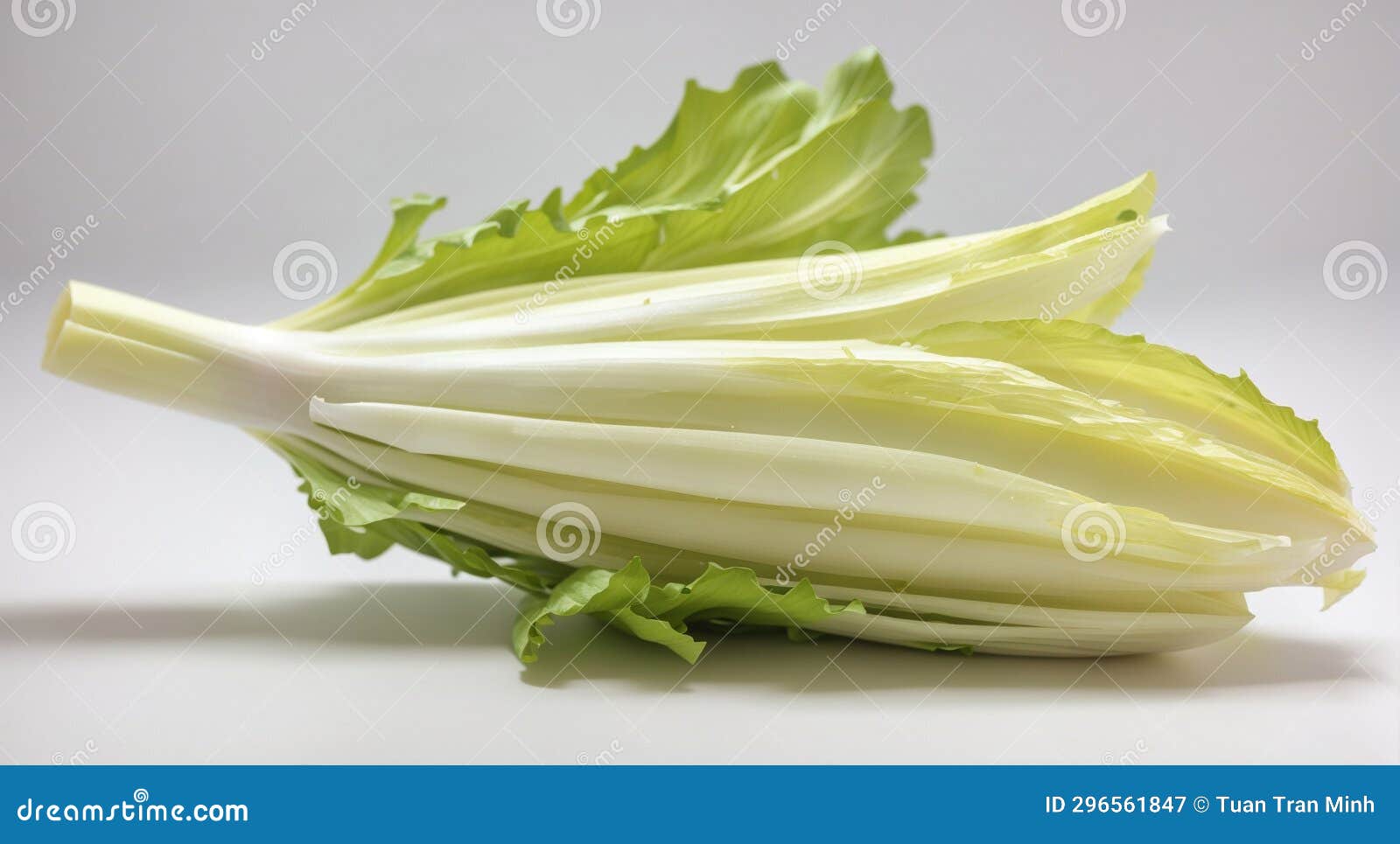 Endive stock image. Image of yellow, generated, food 296561847