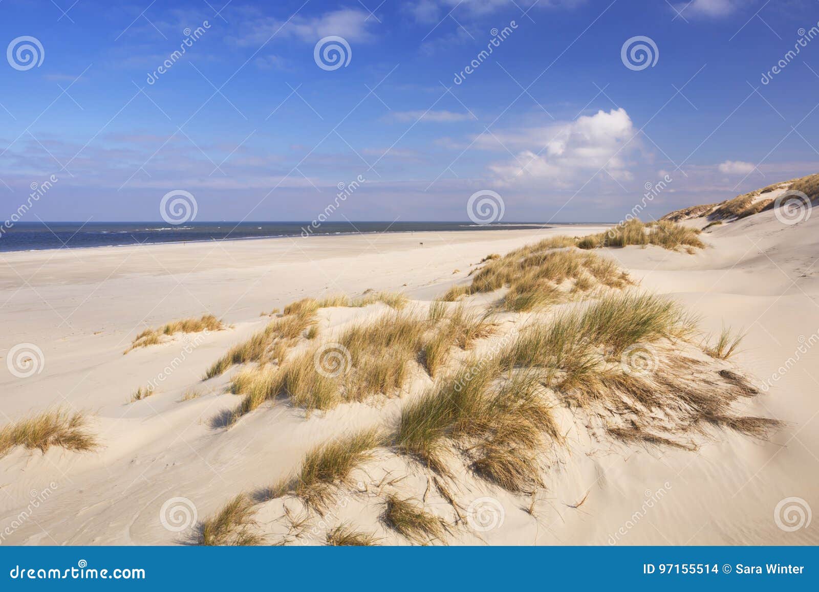 endless beach on the island of terschelling, the netherlands