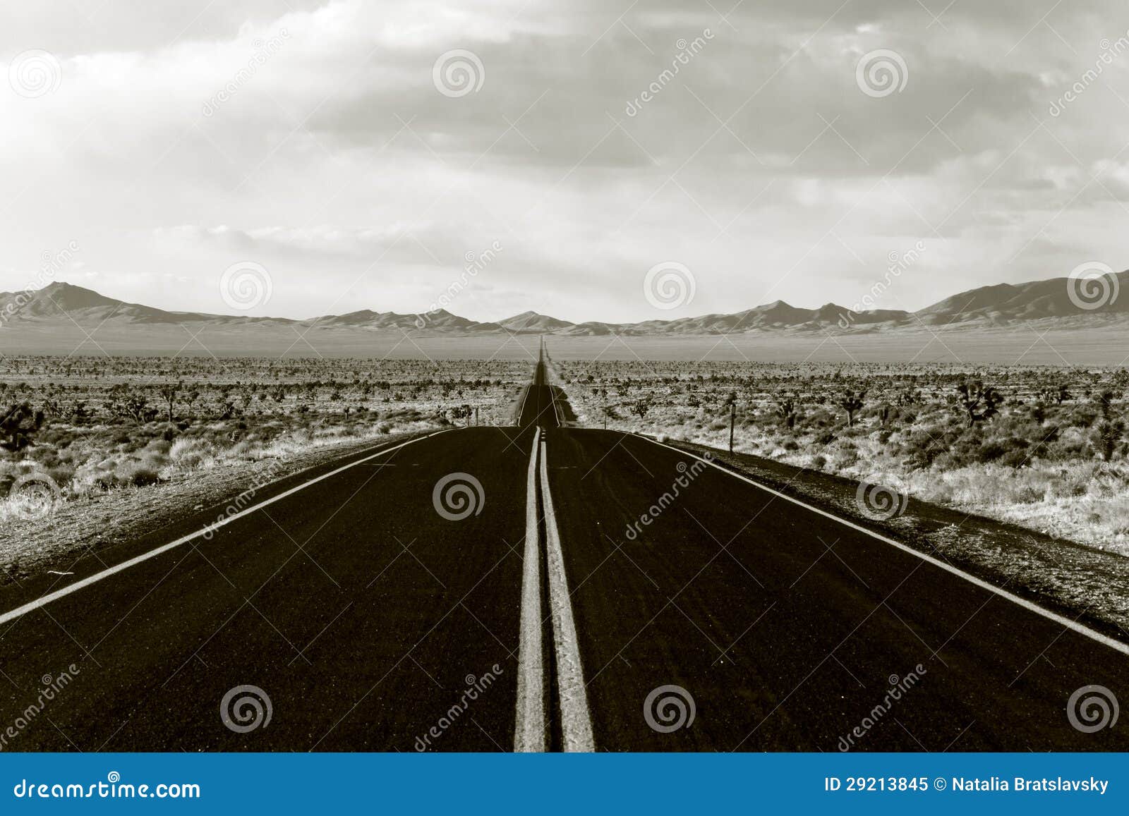 Endless road stock image. Image of cowboy, death, countryside 29213845
