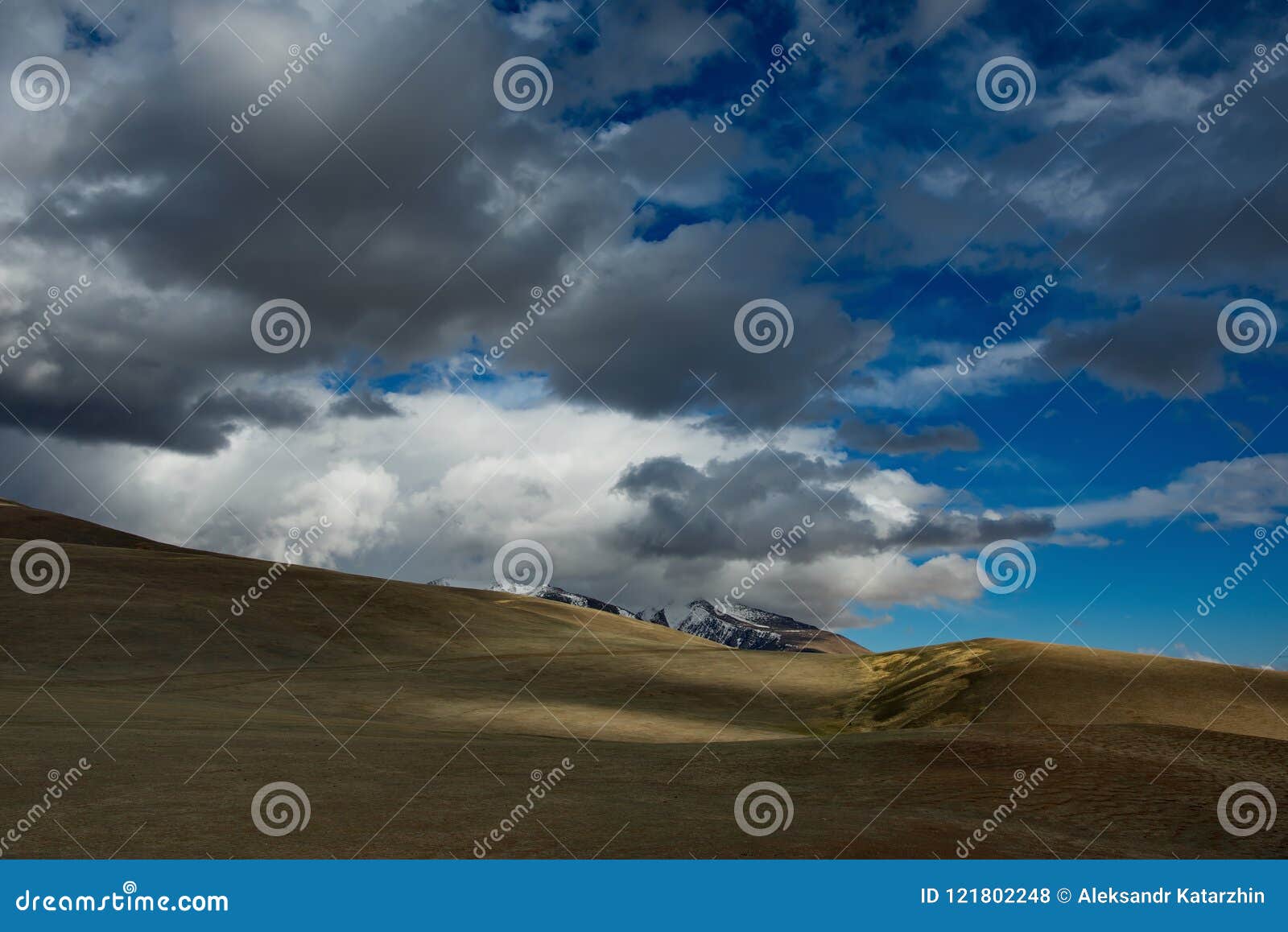 the endless steppe