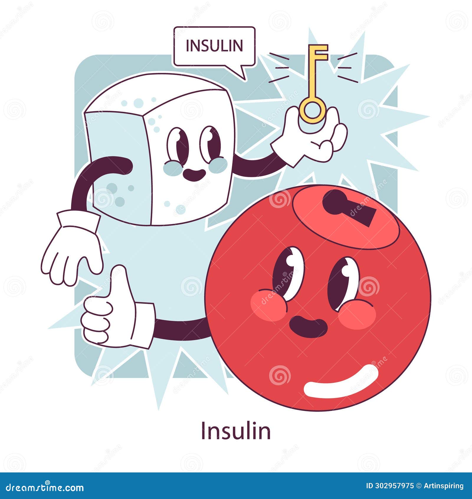 endocrine system. insulin function. pancreas gland hormones secretion