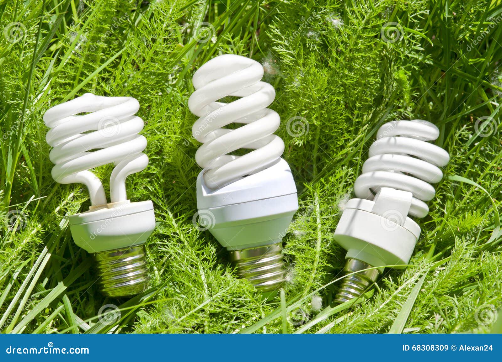 Energy Efficient Light Bulbs Stock Image Image of contemplation