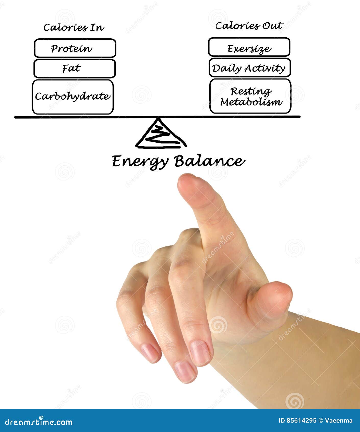 Energy Intake and Energy Expenditure Stock Image Image of finger