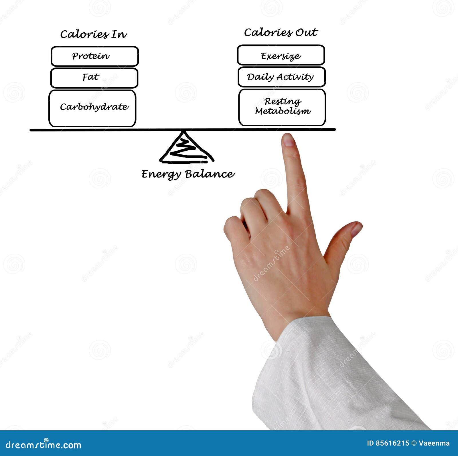 Energy Intake and Energy Expenditure Stock Image Image of dieting