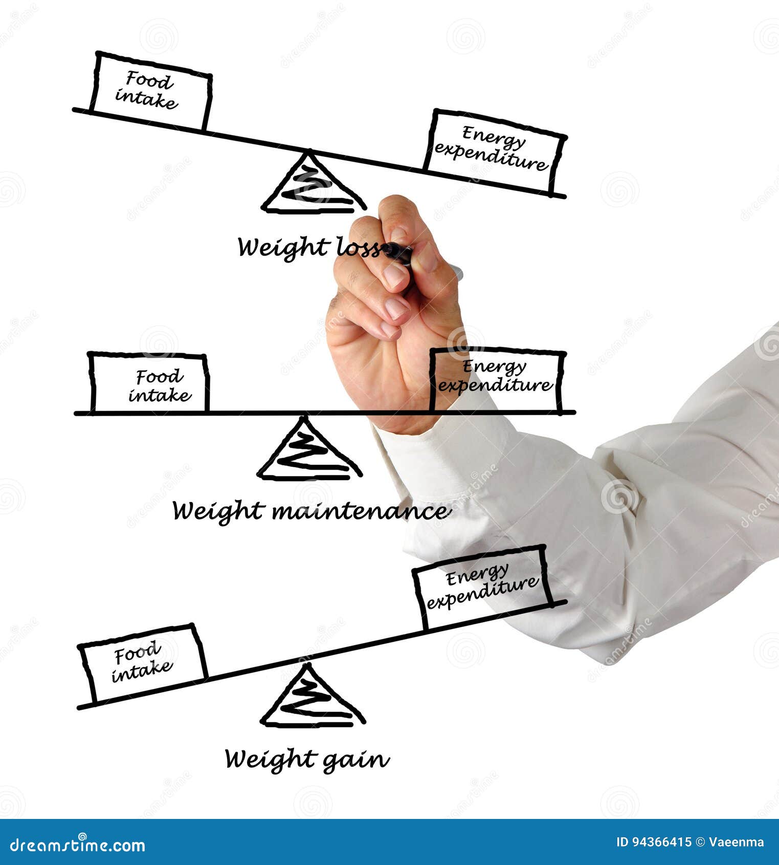 Energy Intake and Energy Expenditure Stock Image Image of consumption
