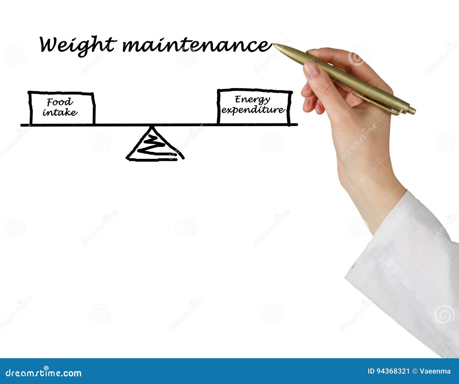Energy Intake and Energy Expenditure Stock Image Image of resting