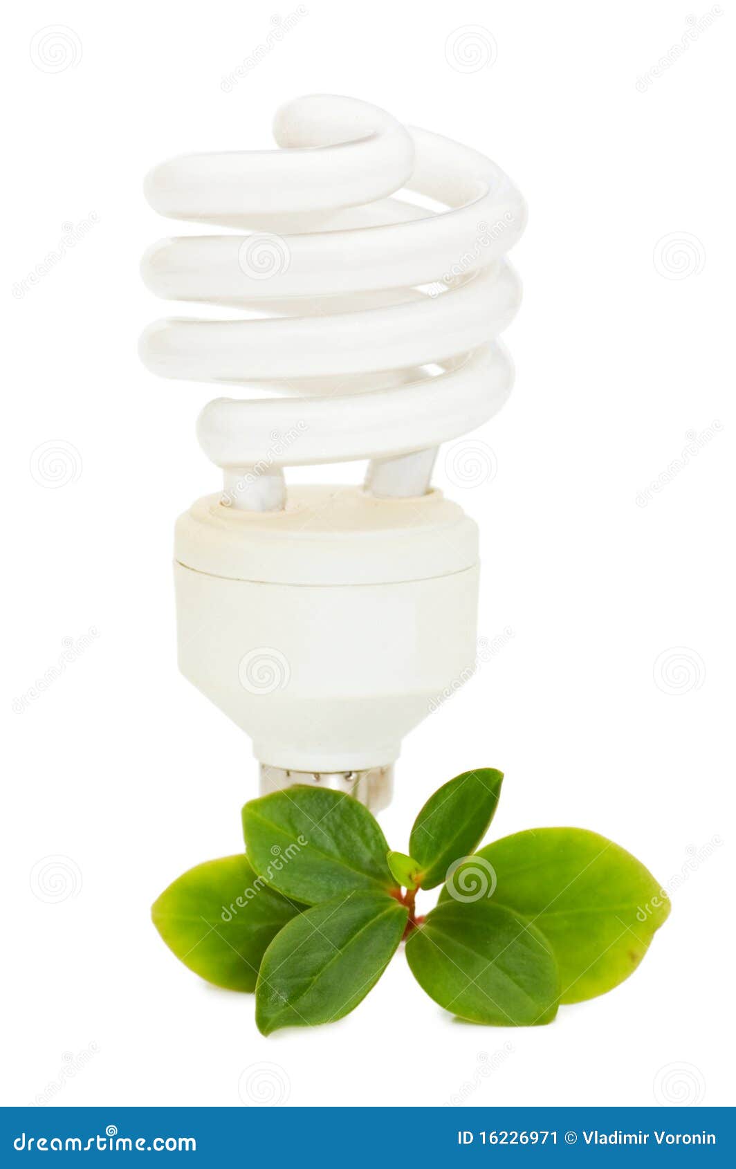 Energy Saving Light Bulb on Green Leaves Stock Image Image of conservation, economical 16226971