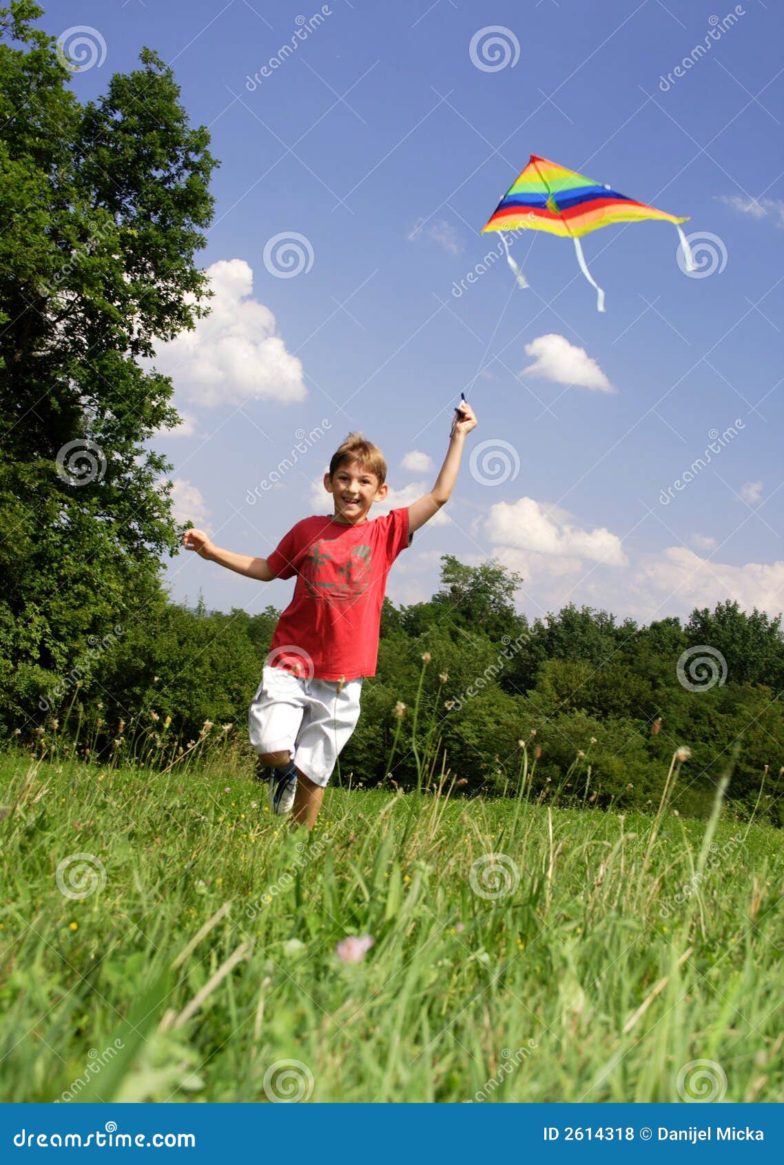 Enfant avec le cerf-volant photo stock. Image du pièce - 2614318