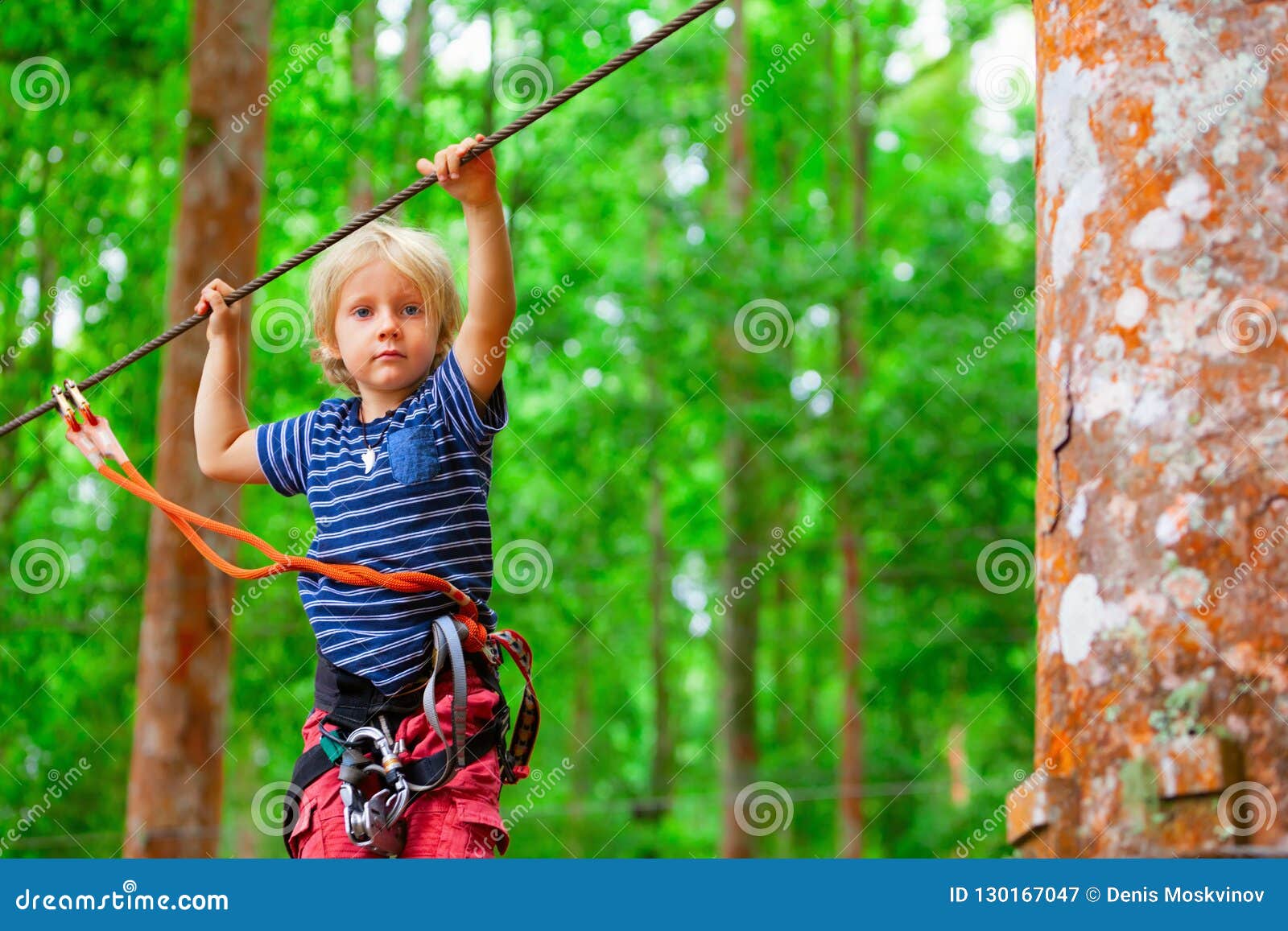 Enfant Dans L'obstacle De Passage De Harnais De Sécurité En Parc De Corde  D'aventure Image stock - Image du harnais, exercice: 130167047