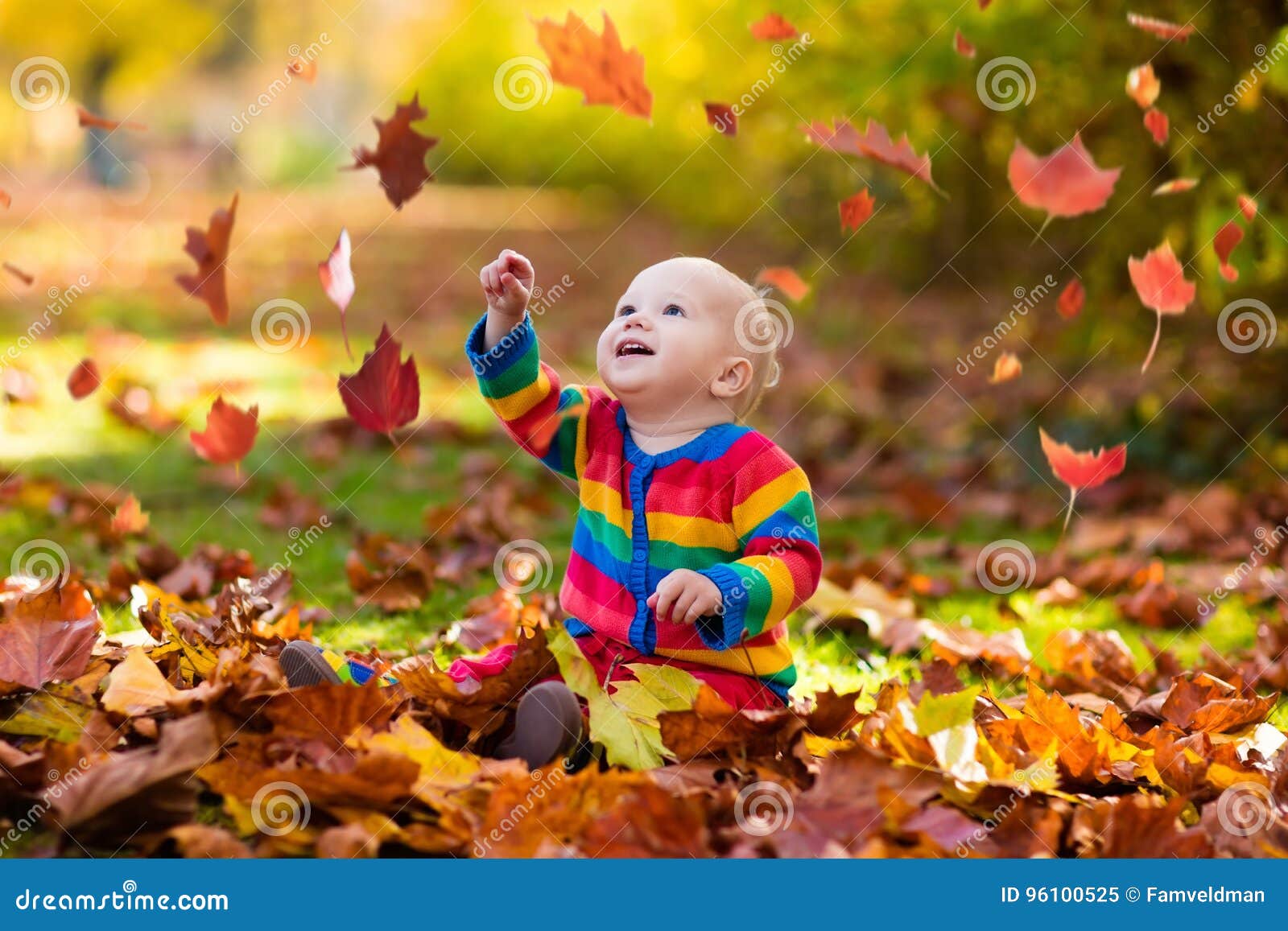Enfant En Stationnement D'automne Enfant Avec Des Feuilles D'automne Image  stock - Image du feuilles, automne: 96100525