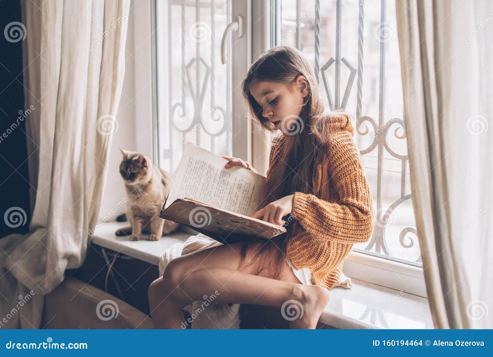 Enfant Lisant Un Livre Avec Un Chat Photo Stock Image Du Humeur Chandail