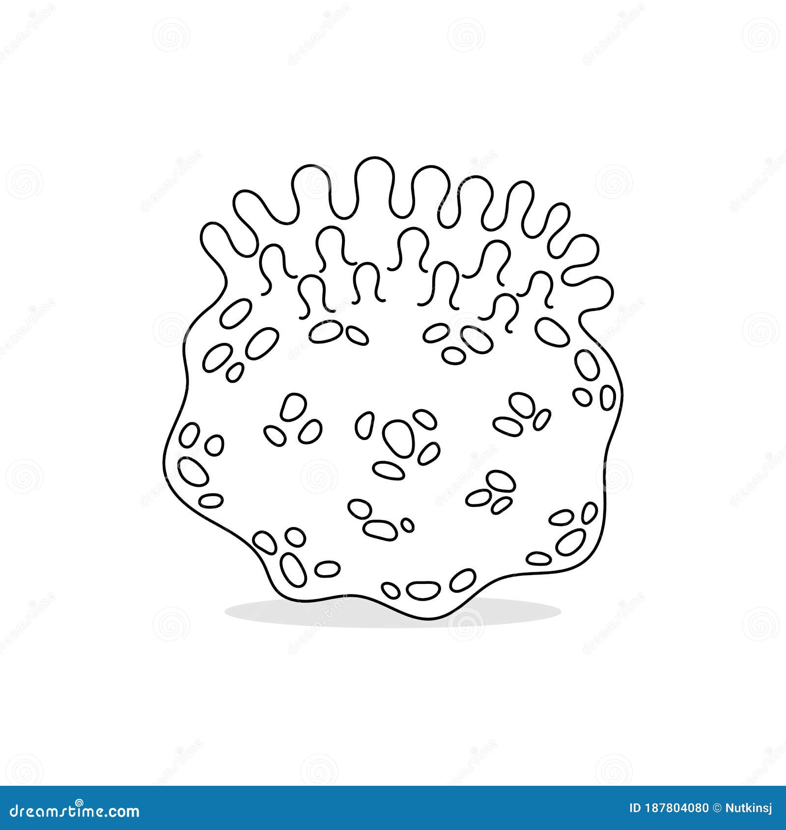 Enfermedad De Clamidia Microorganismos Vectores Incoloros Ilustración del  Vector - Ilustración de encantador, medicina: 187804080