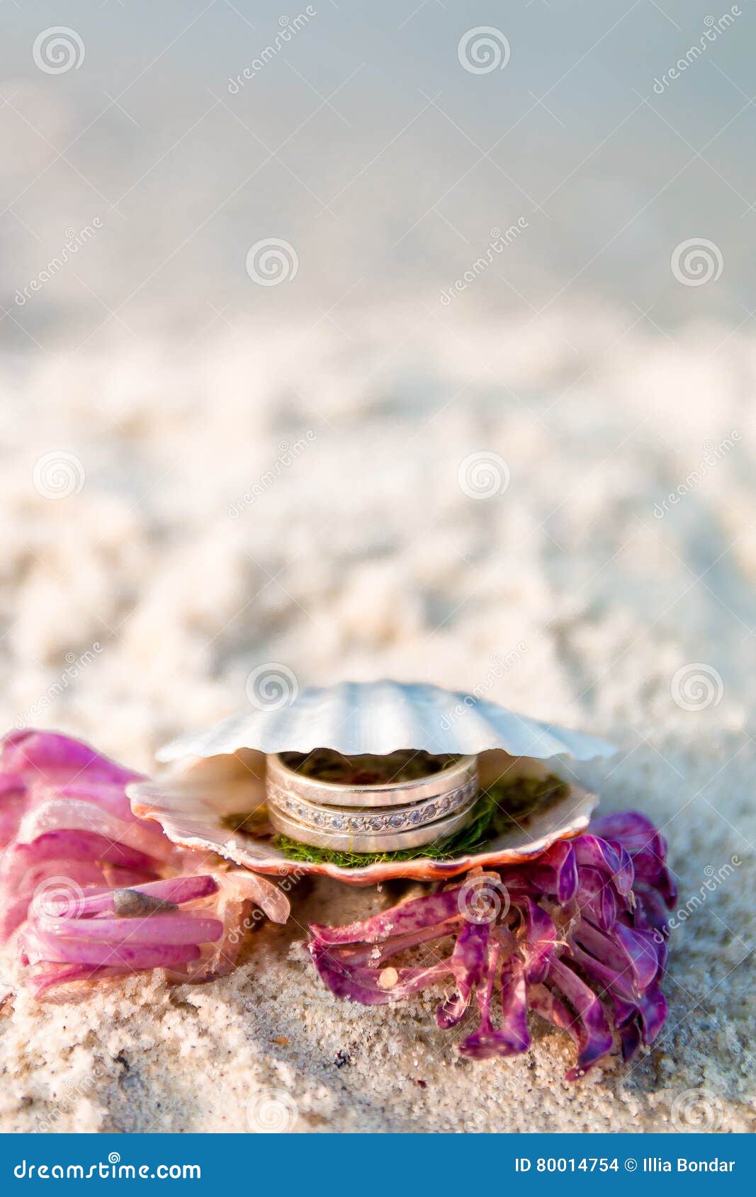 Engagement Ring in Open Seashell on the Ocean Beach. Copy Space. Frame