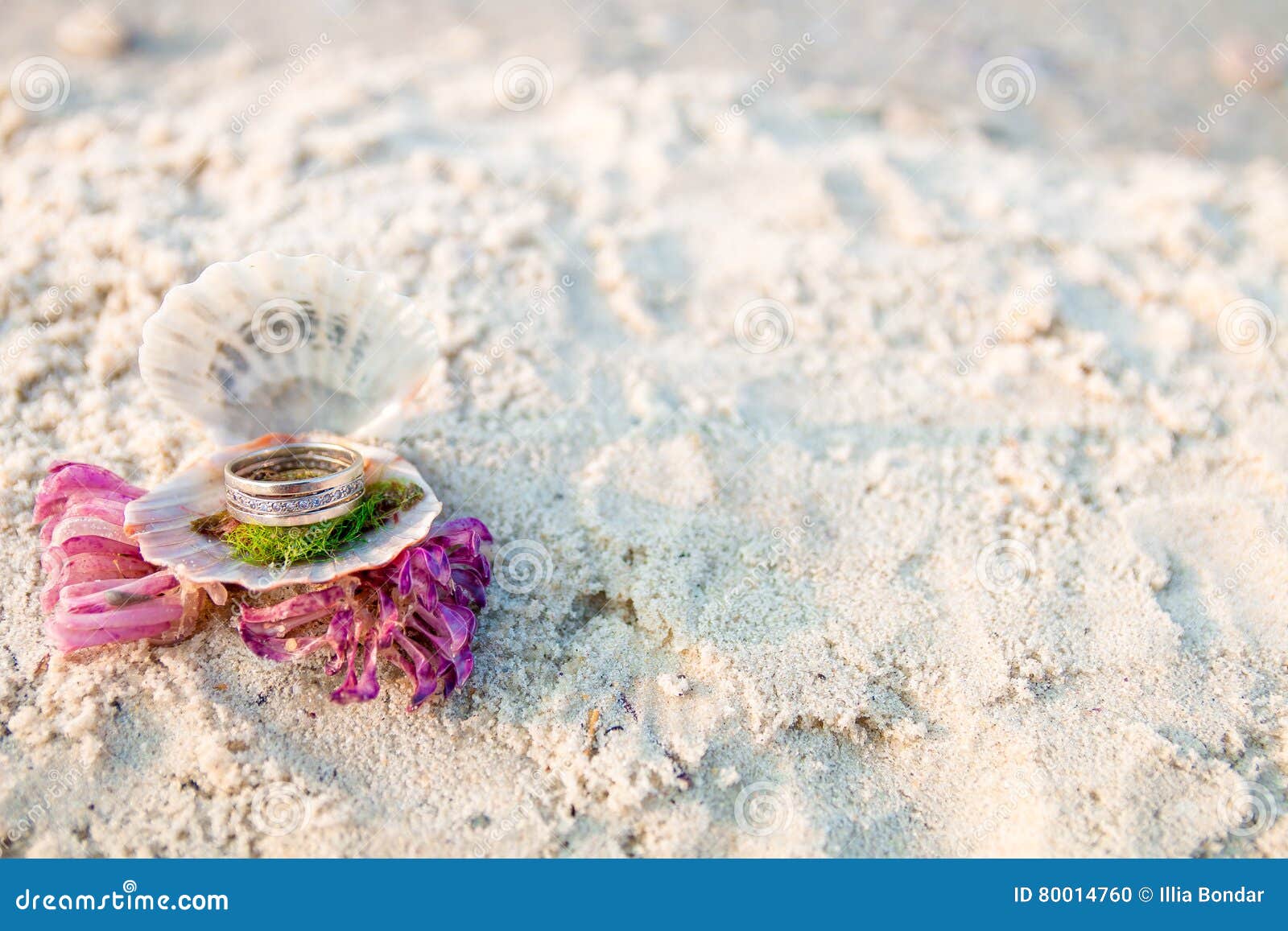Engagement Ring in Open Seashell on the Ocean Beach. Copy Space. Frame