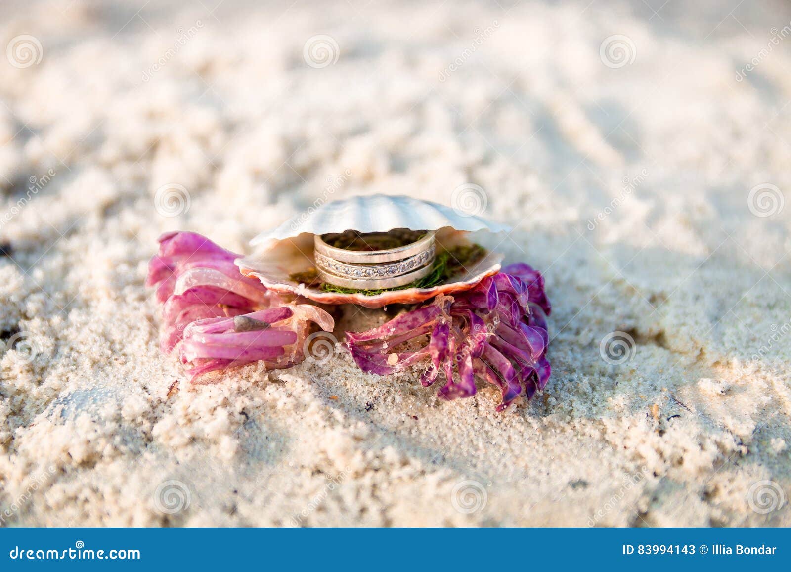 Engagement Ring in Open Seashell on the Ocean Beach. Copy Space. Frame