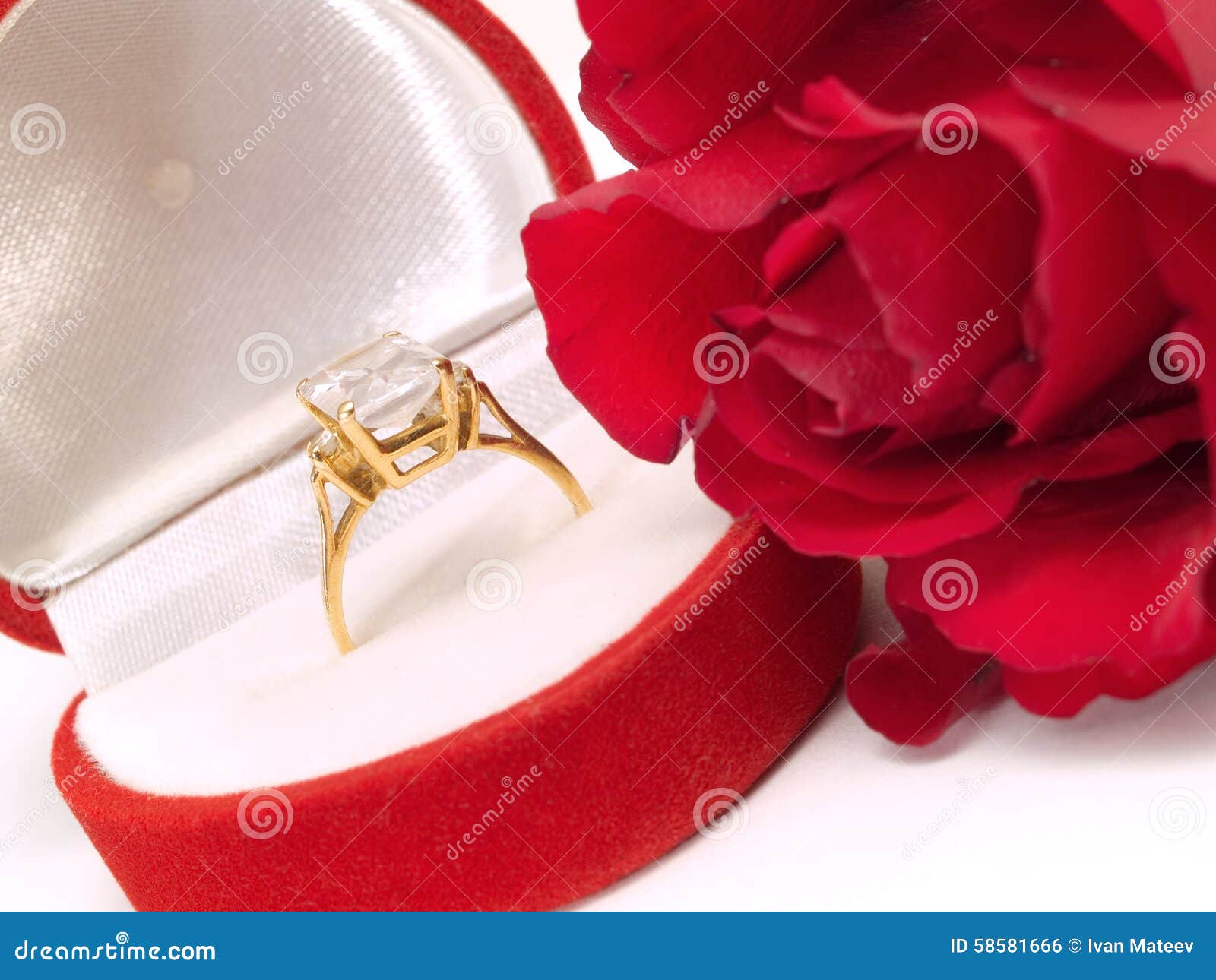 Engagement Ring with Rose stock photo. Image of flower 58581666