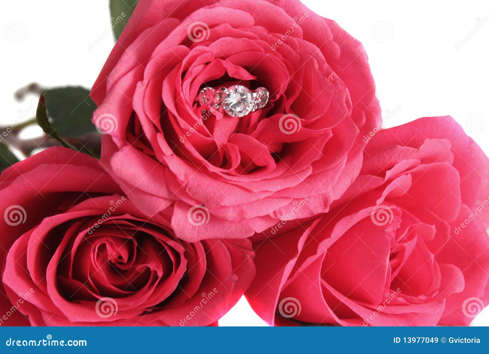 Engagement ring and roses stock image. Image of sparkle 13977049