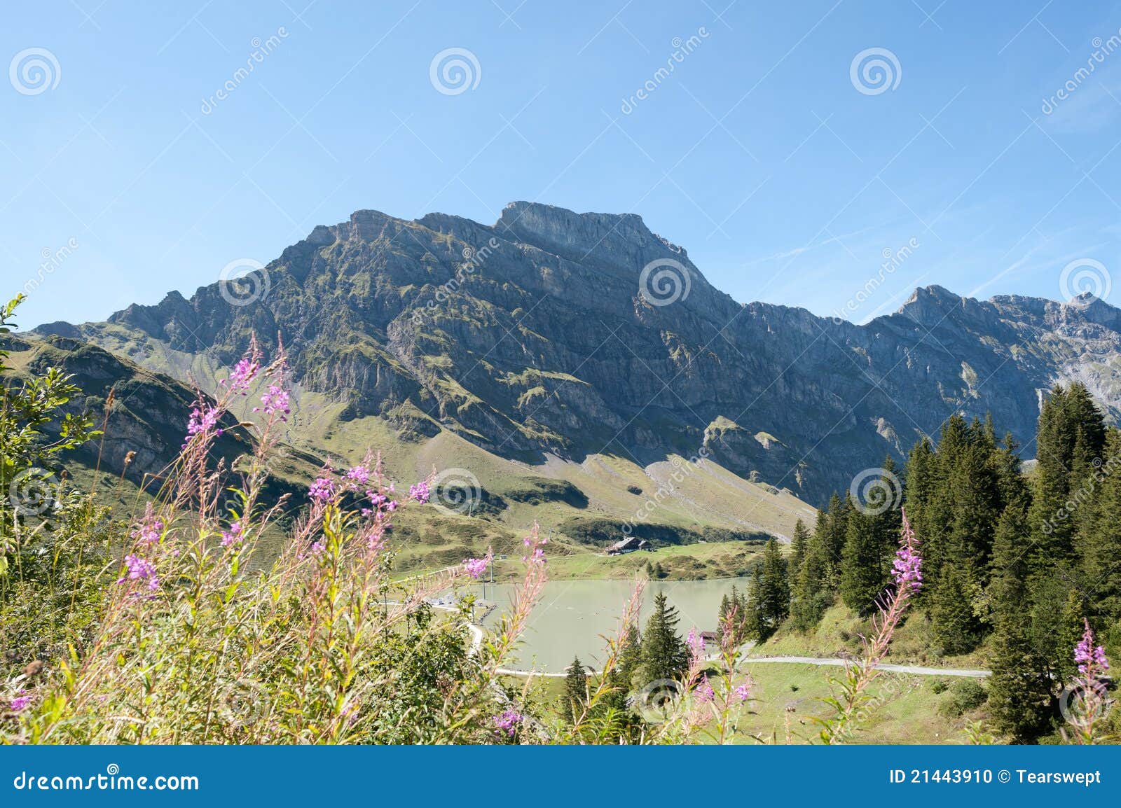 Engelberg Titlis, die Schweiz. Die Berge von Engelberg (Engels-Berg) in der Schweiz.