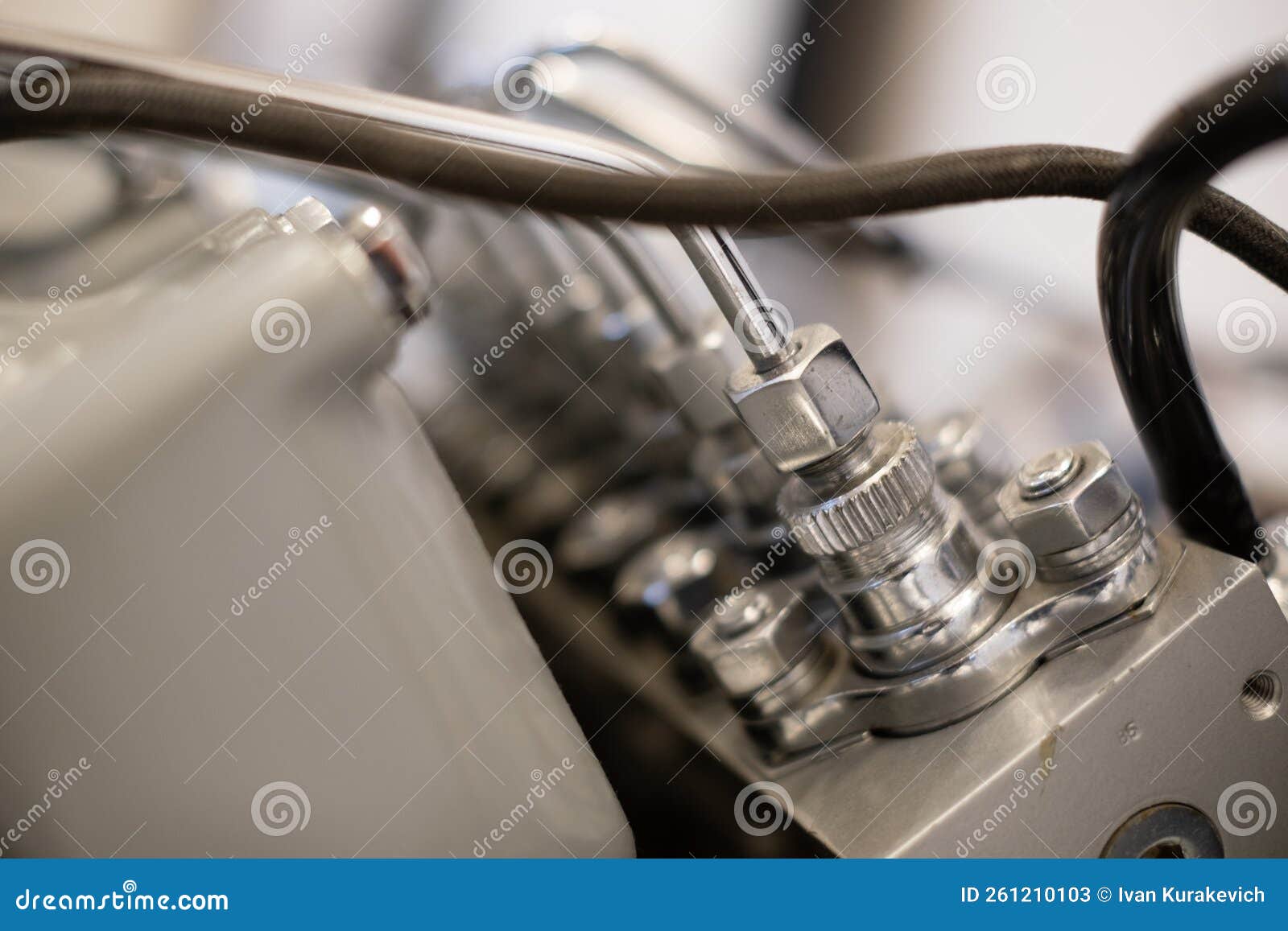 The Engine of the Car. Fuel System and Spark Plugs Stock Image Image
