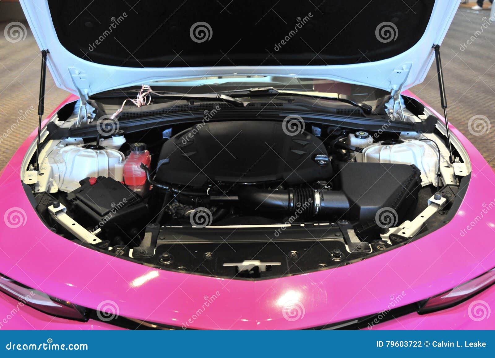 Engine Compartment of a Car. Stock Photo Image of mechanic, exposed