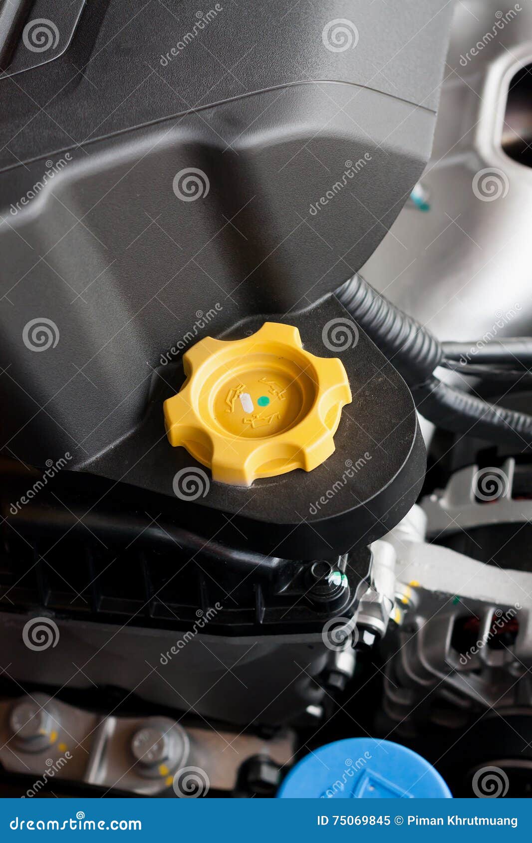 Engine oil cap in car hood stock image. Image of automotive 75069845