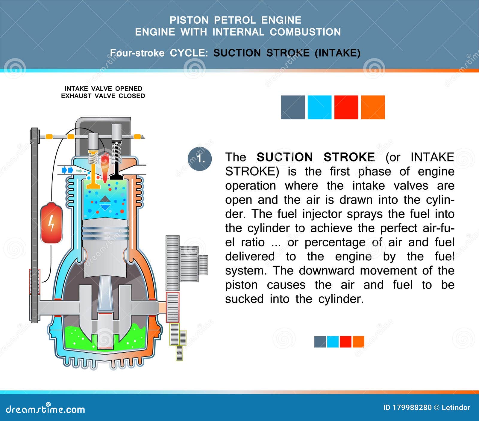 Piston Engine Petrol Four Stroke Cycle in Structural Cross Section for