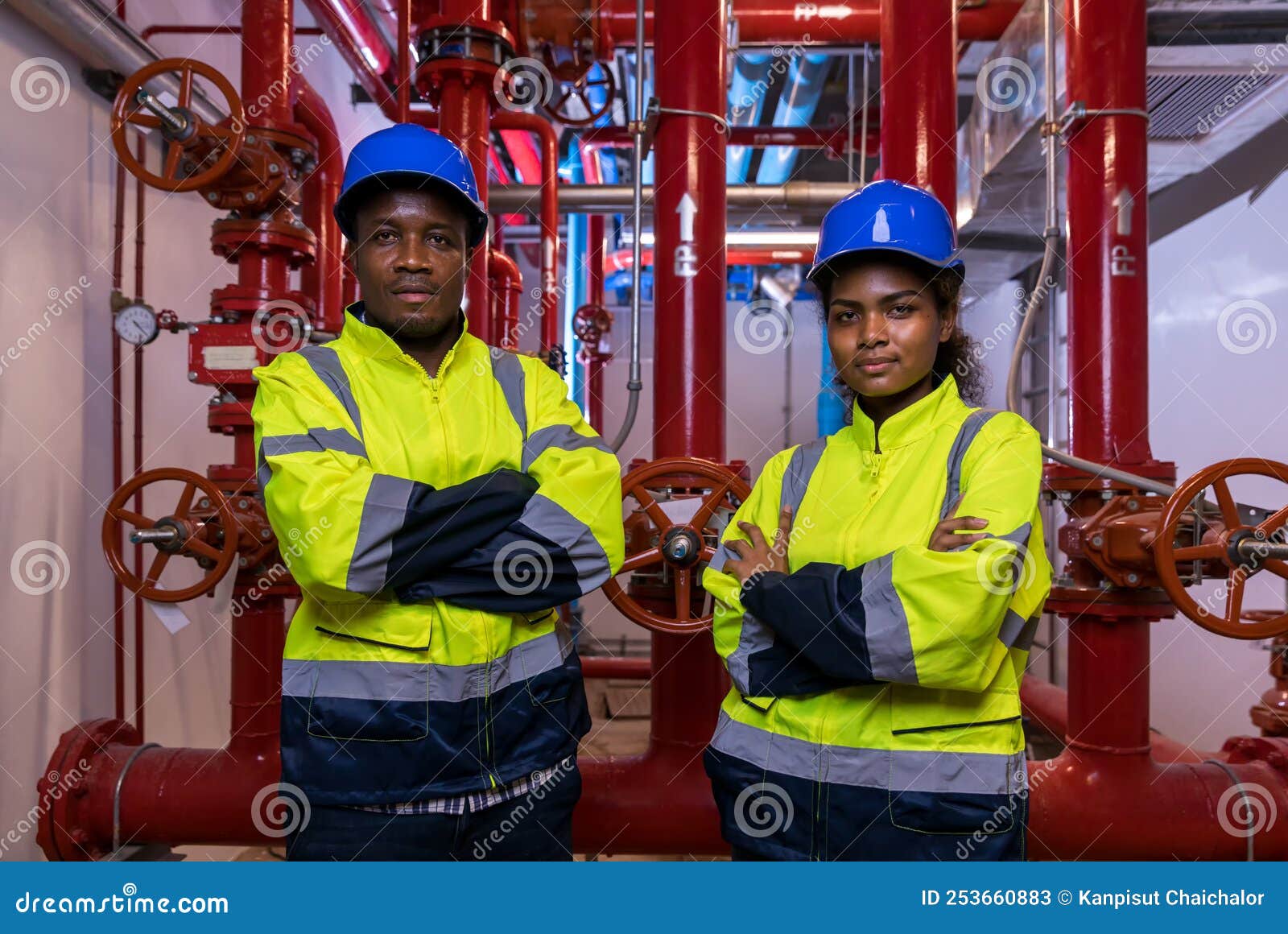 Engineer or Technician Work Checking Fire Suppression System and Fire