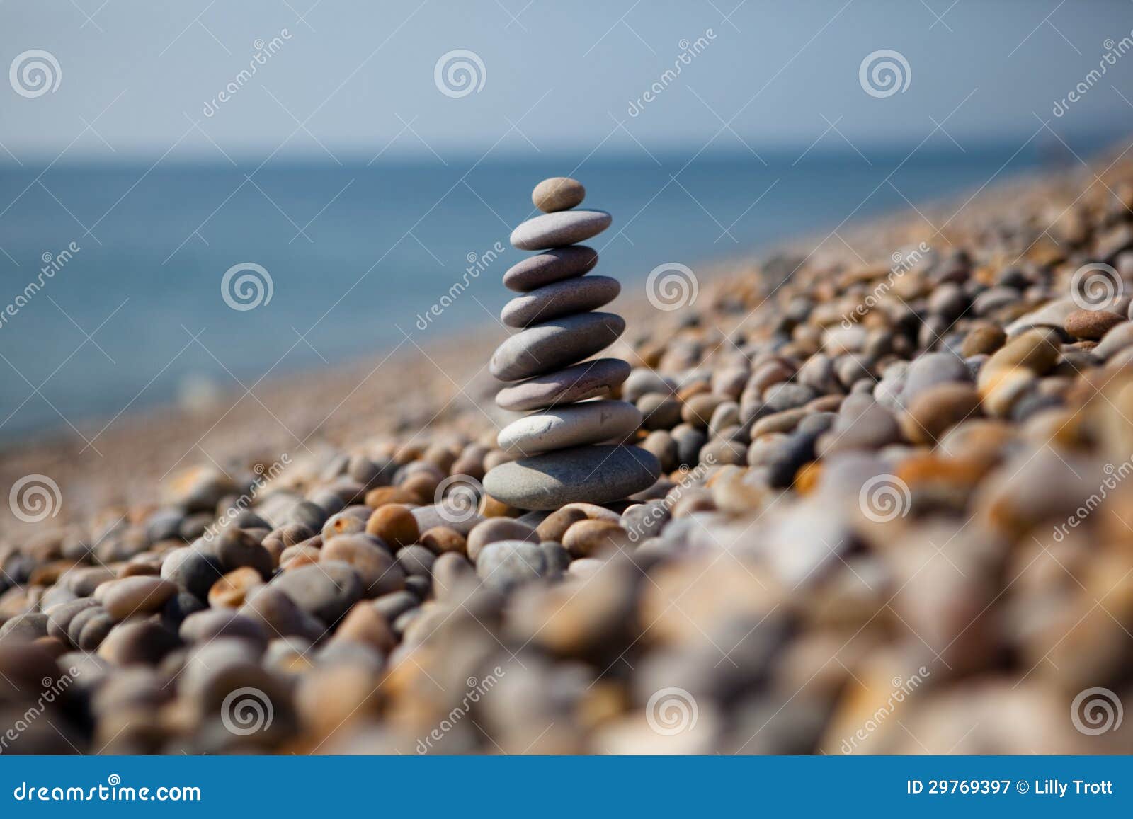 Pebbles in Chesil Beach, Dorset, UK Stock Image Image of abbotsbury