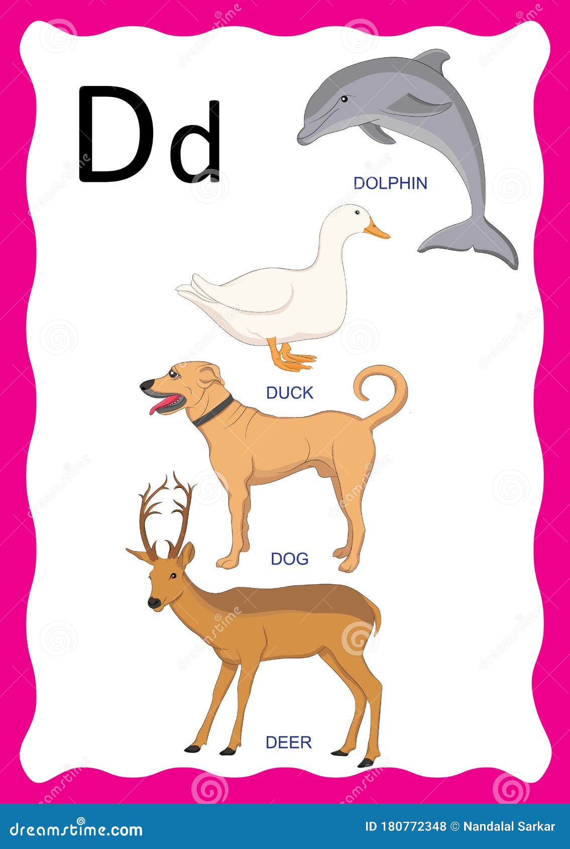 English Alphabet D with Pictures and Titles for Children Education ...