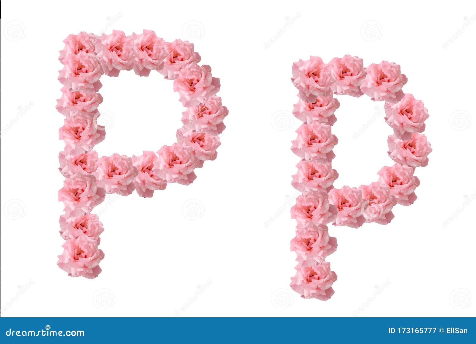 English Alphabet from Flowers of Pink Roses, Letter P Stock Image ...