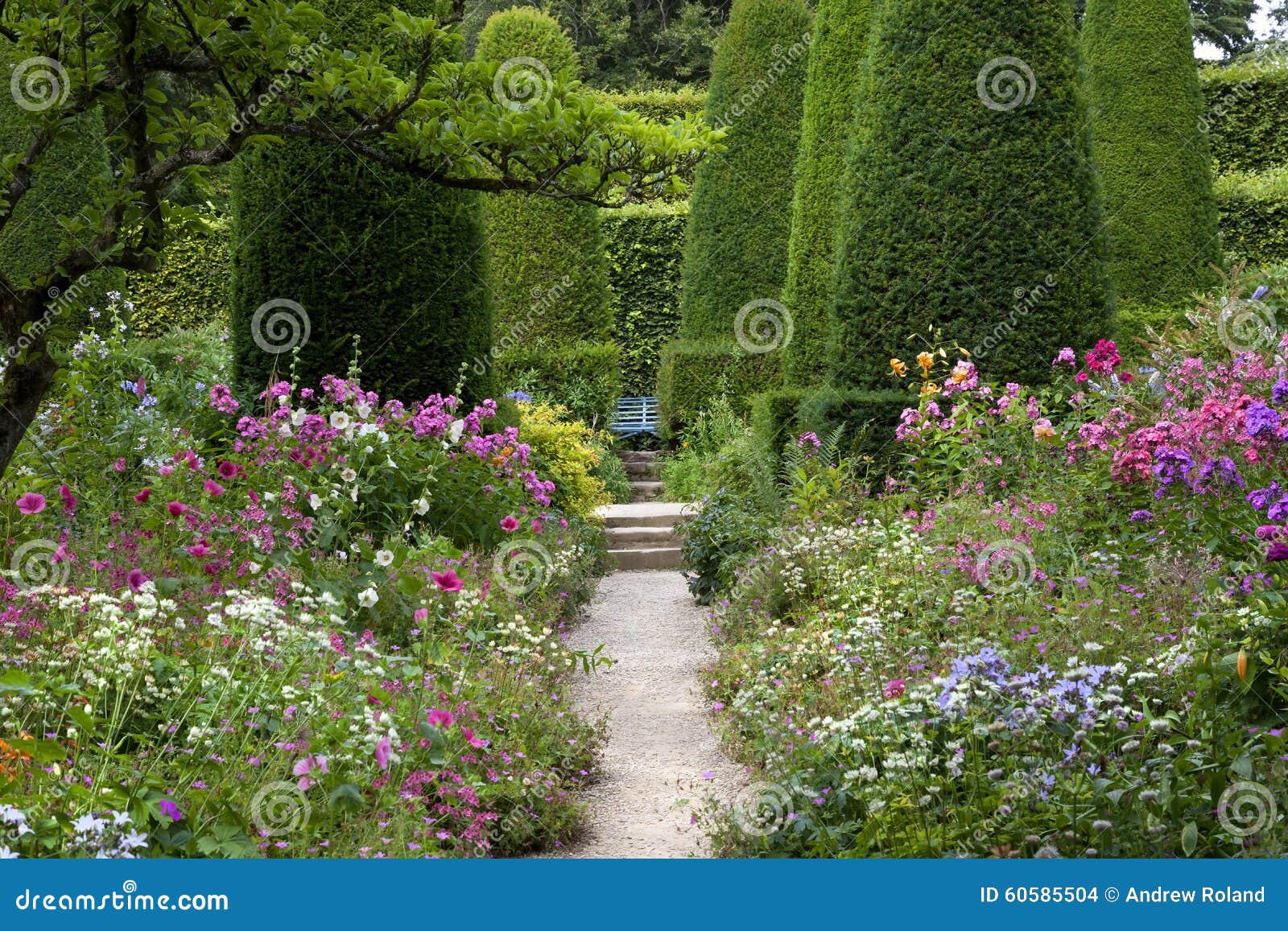 English Cottage Garden Stock Photo Image Of Cottage 60585504