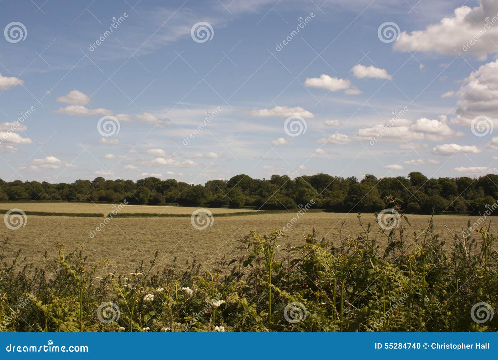 english countryside, holmer green, buckinghamshire