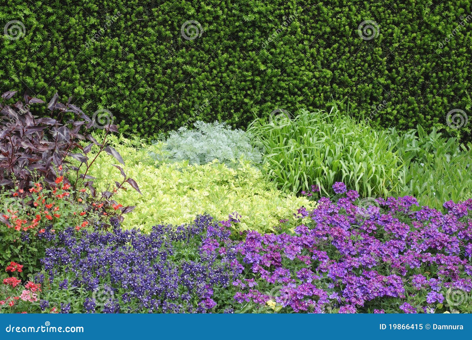 English flower beds stock image. Image of bloom, tropaeolum 19866415