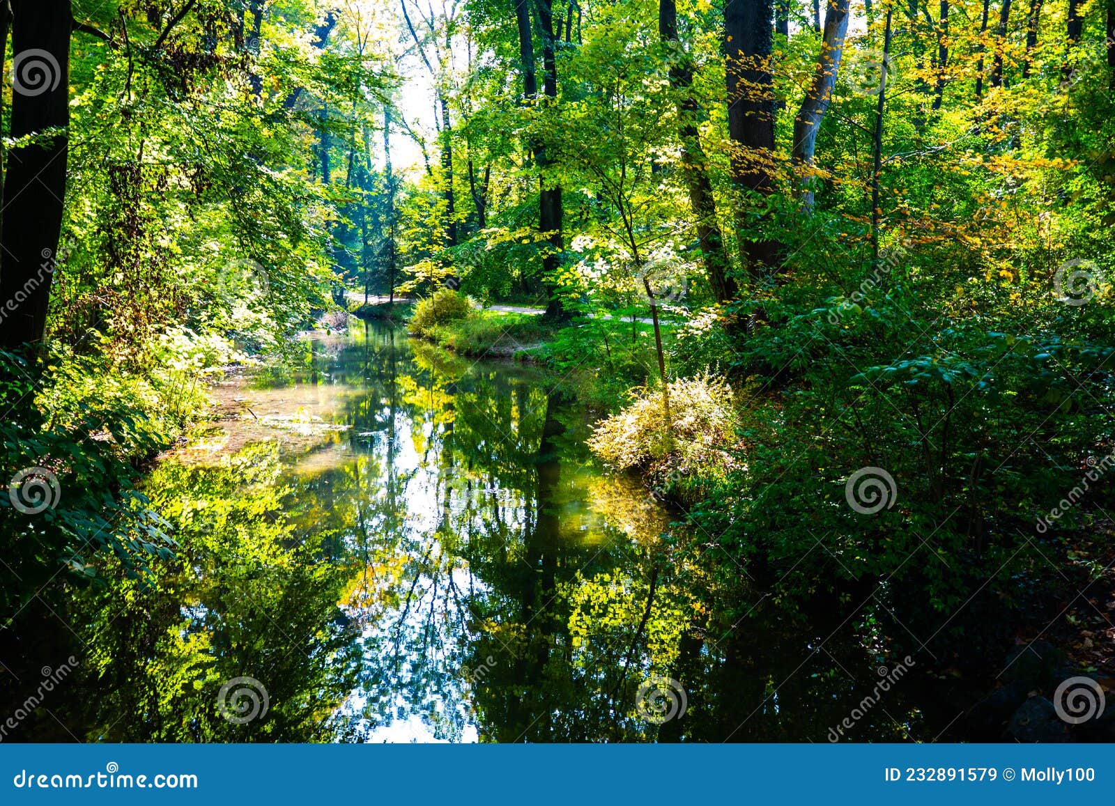 English Garden in Munich, Autumn, Golden October Stock Image - Image of ...