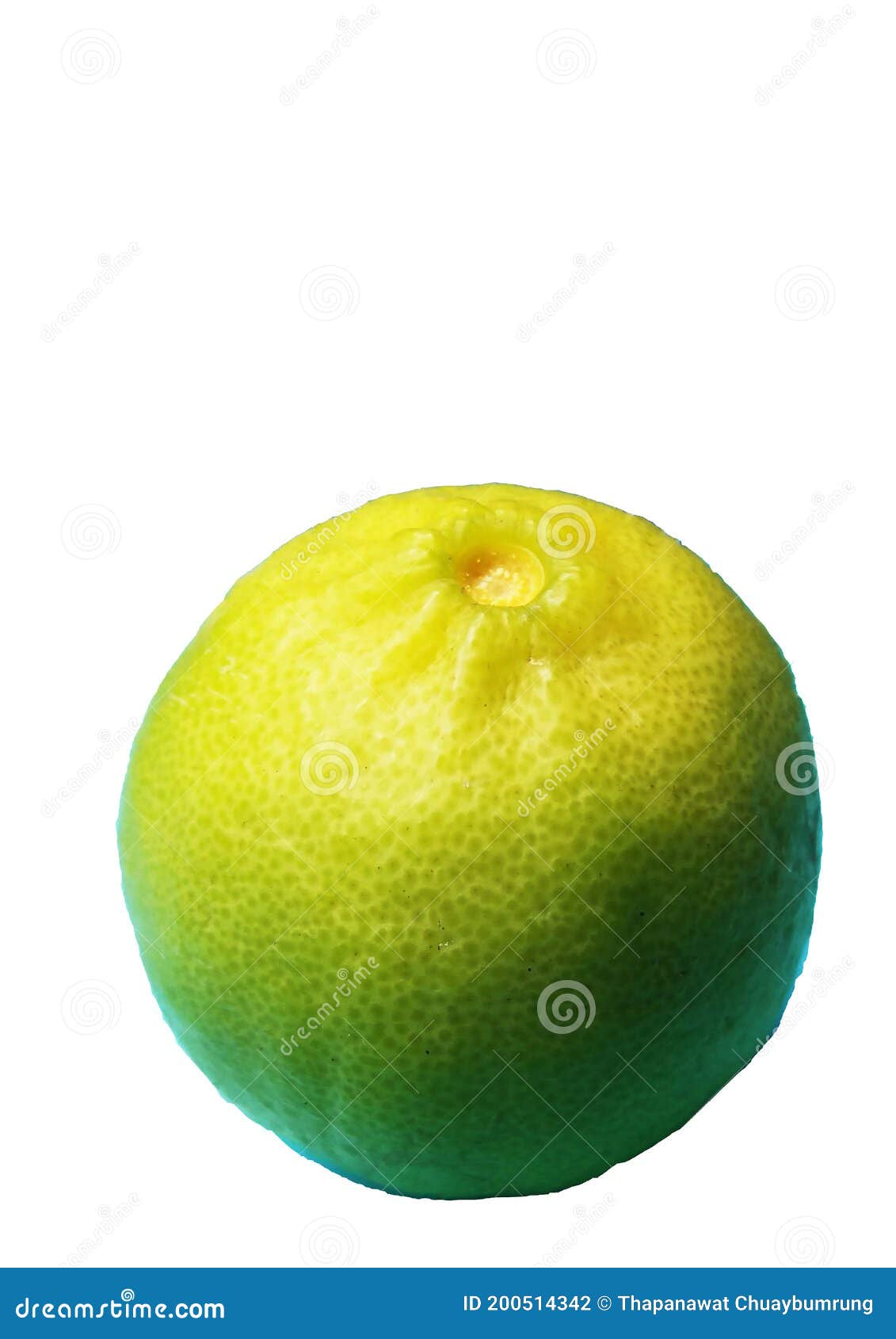 english lime is called mexica lime, west indian lime, and key lime, or short lime.