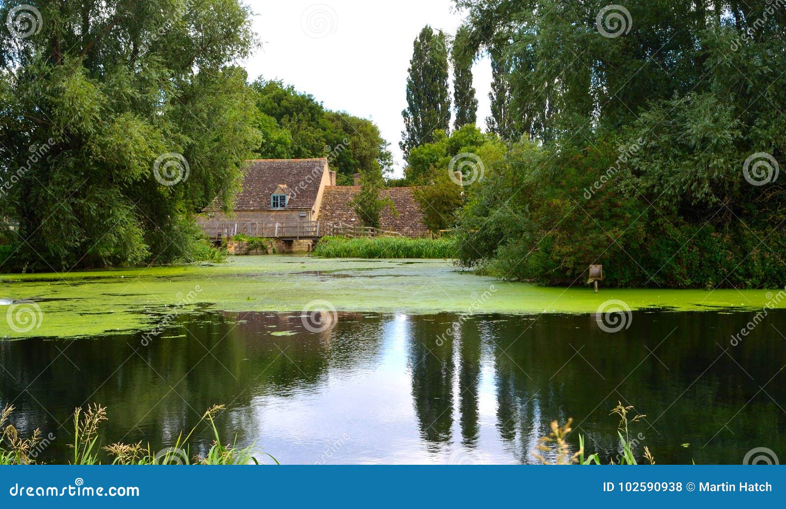 English Mill Pond and Watermill Stock Photo Image of sacrewell
