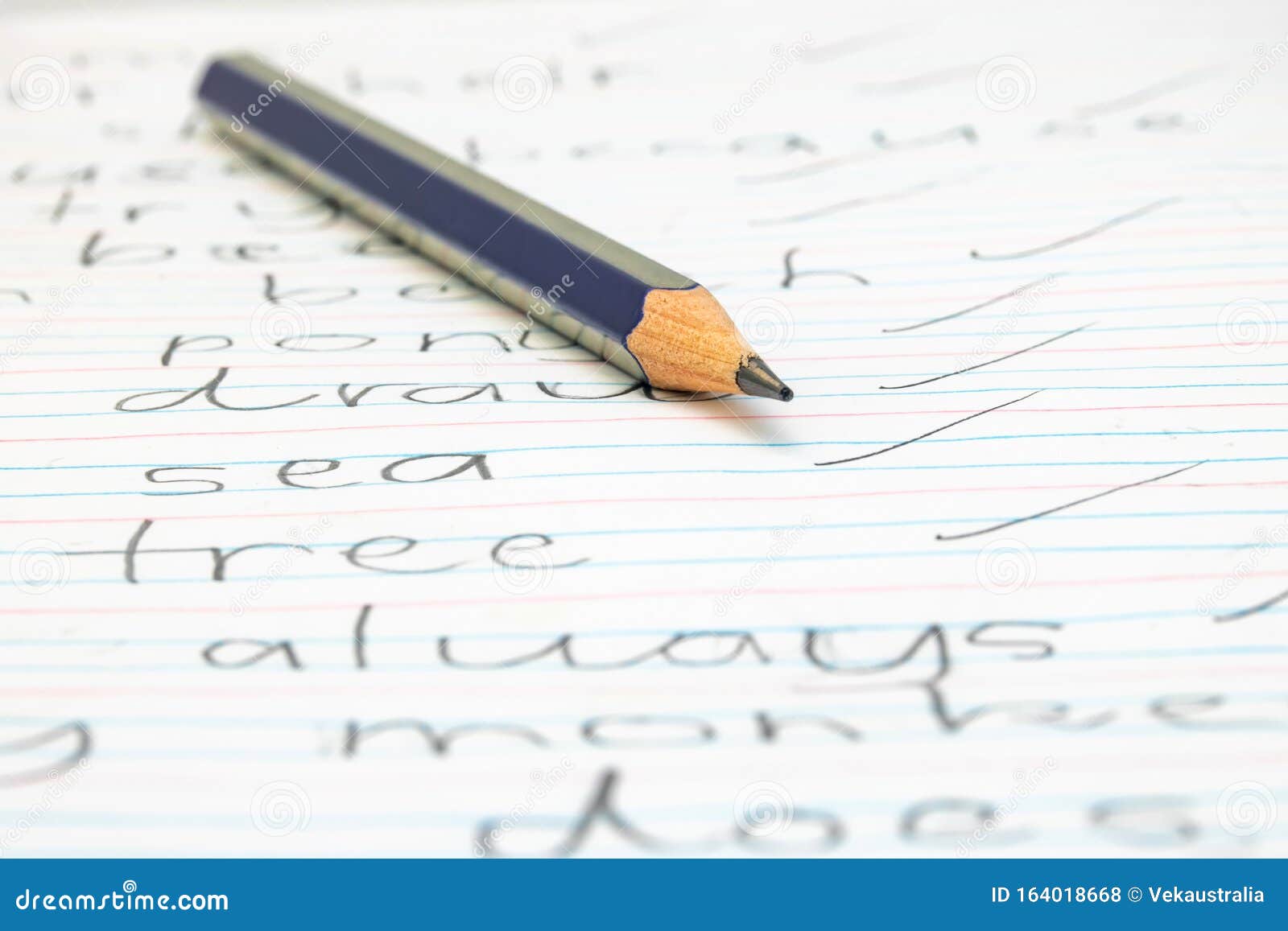 Elementary School English Spelling Test and Pencil Stock Photo Image