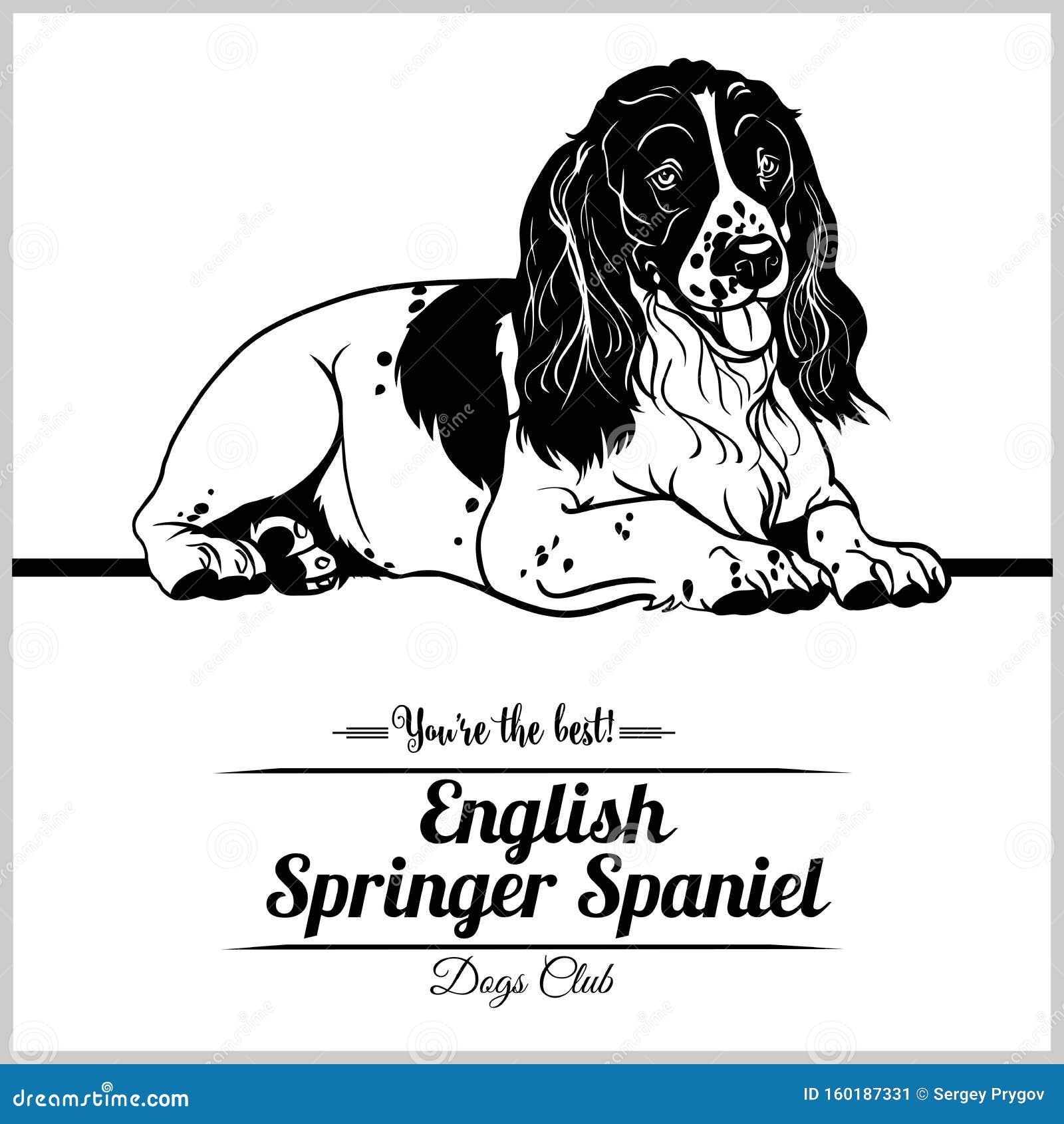 English Springer Spaniel Dog - Vector Illustration for T-shirt, Logo