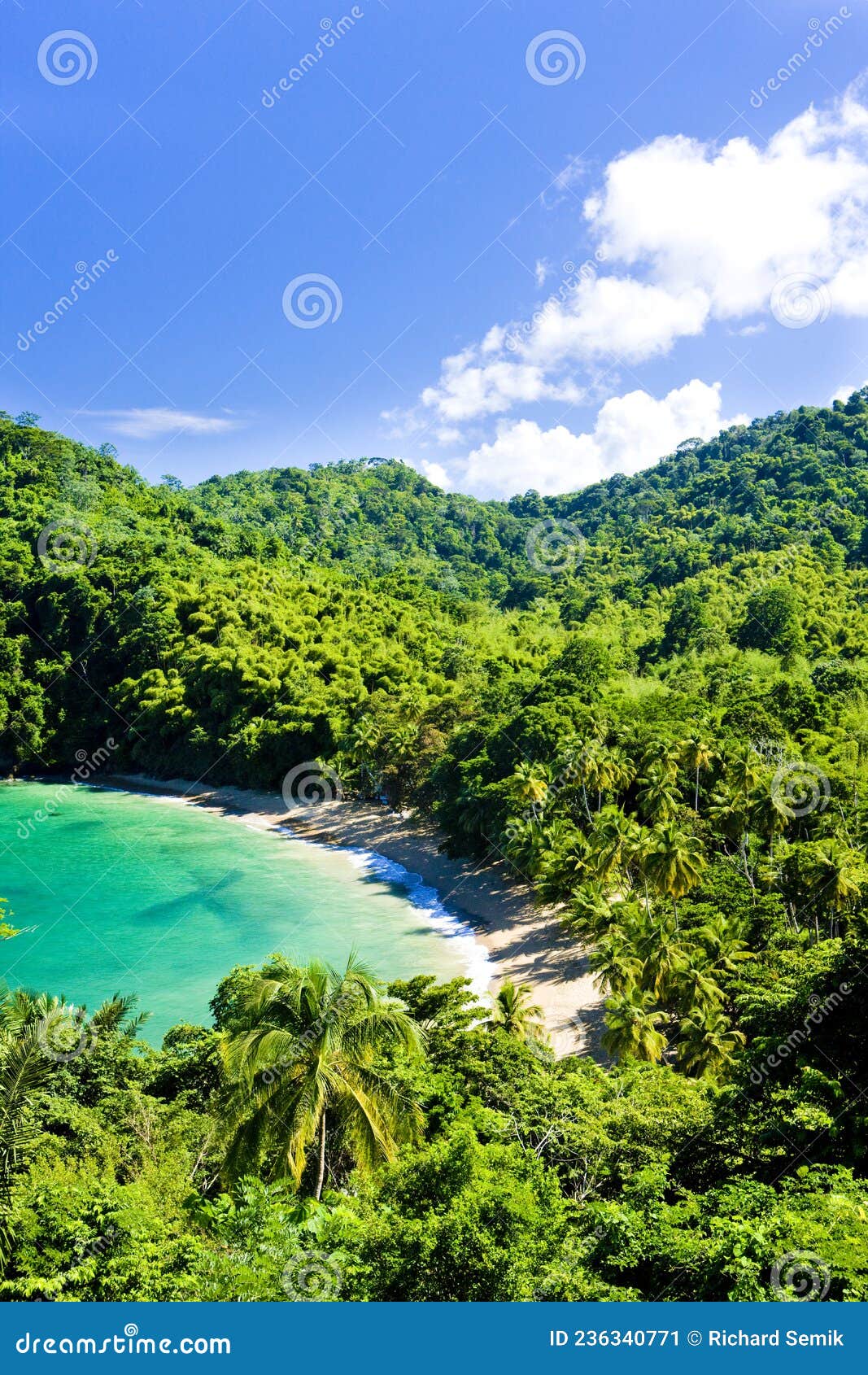 Englishman s Bay, Tobago stock image. Image of landscapes 236340771